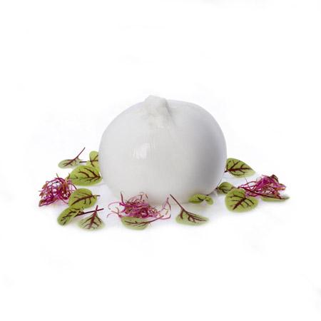 Burrata Bio